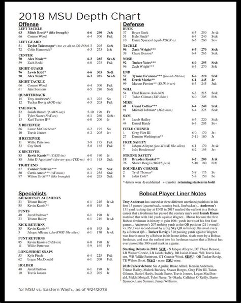 trail blazers depth chart.